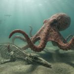Cientistas encontraram pistas de um “kraken” real que pode ter vivido na Terra