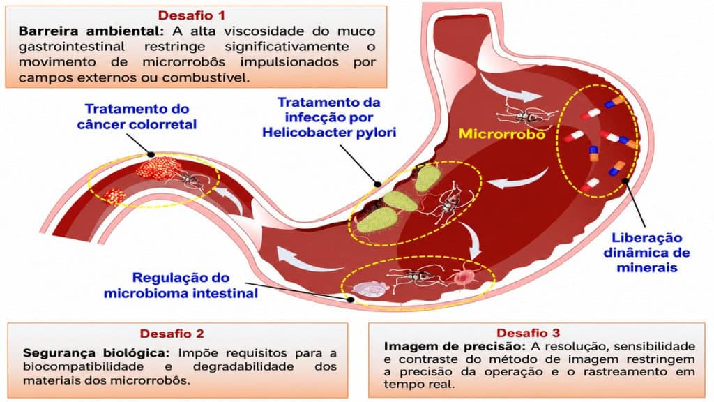 O nanorobô que consegue navegar pelo estômago para matar bactérias e curar doenças