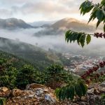 O café mais premiado do Brasil é cultivado a 400 km de São Paulo e desbanca especialistas europeus O café mais premiado do Brasil é cultivado a 400 km de São Paulo e desbanca especialistas europeus