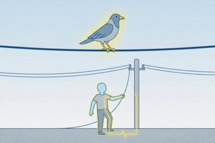 Por que humanos levam choque e pássaros não? Por que humanos levam choque e pássaros não?