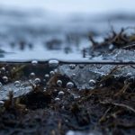O perigo invisível do solo congelado que está liberando gases estufa mais potentes que a fumaça de grandes fábricas O perigo invisível do solo congelado que está liberando gases estufa mais potentes que a fumaça de grandes fábricas