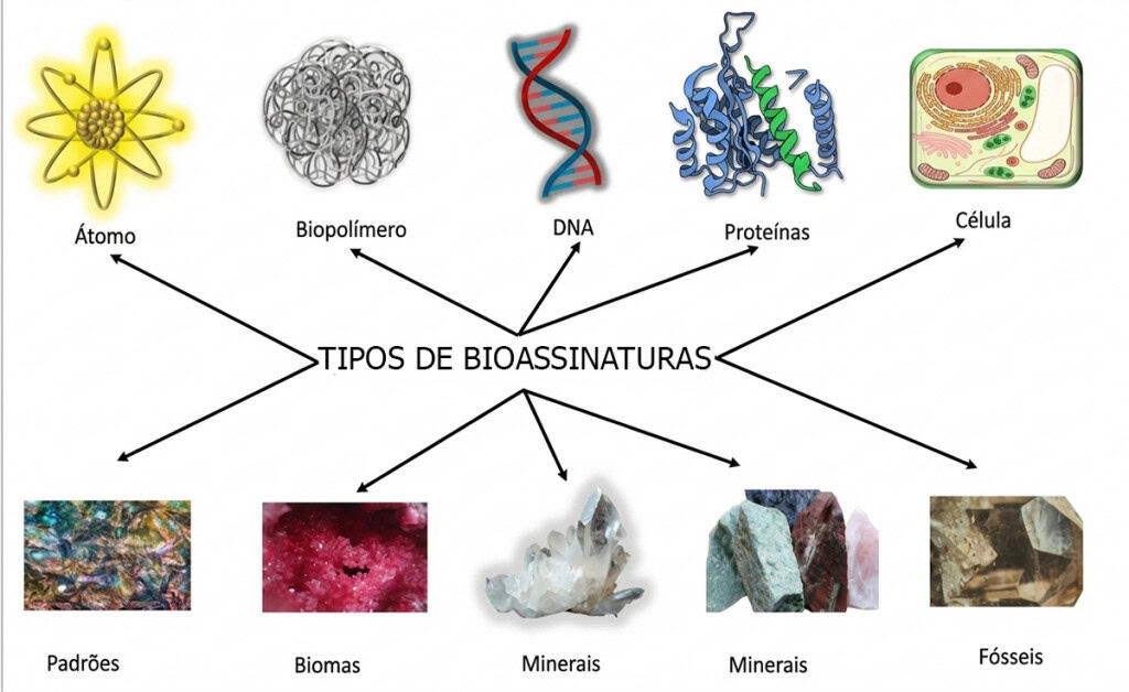 bioassinaturas