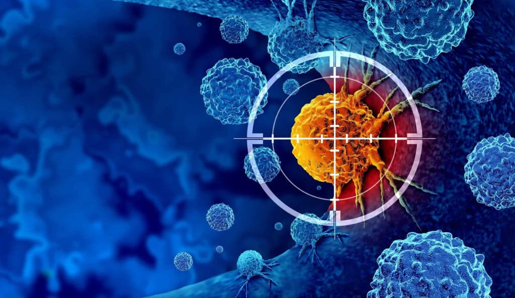 Sensor brasileiro promete detectar câncer de pâncreas em minutos Sensor brasileiro promete detectar câncer de pâncreas em minutos