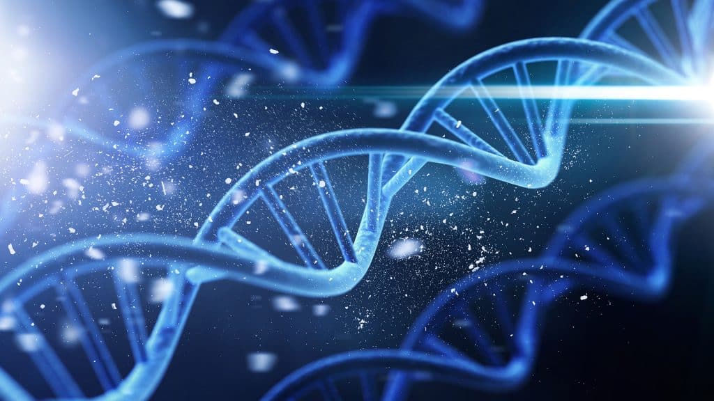 Representação de um DNA