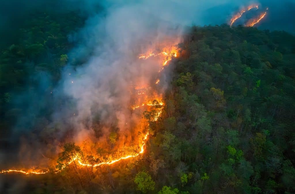 Amazônia em chamas