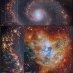 Webb e Hubble descobrem o poder dos berçários estelares na evolução das galáxias Webb e Hubble descobrem o poder dos berçários estelares na evolução das galáxias
