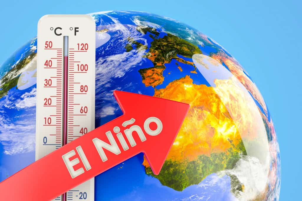 el niño