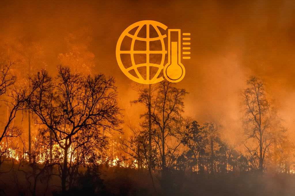 Incêndio florestal avança entre árvores durante evento extremo associado ao El Niño e ao aumento das temperaturas globais