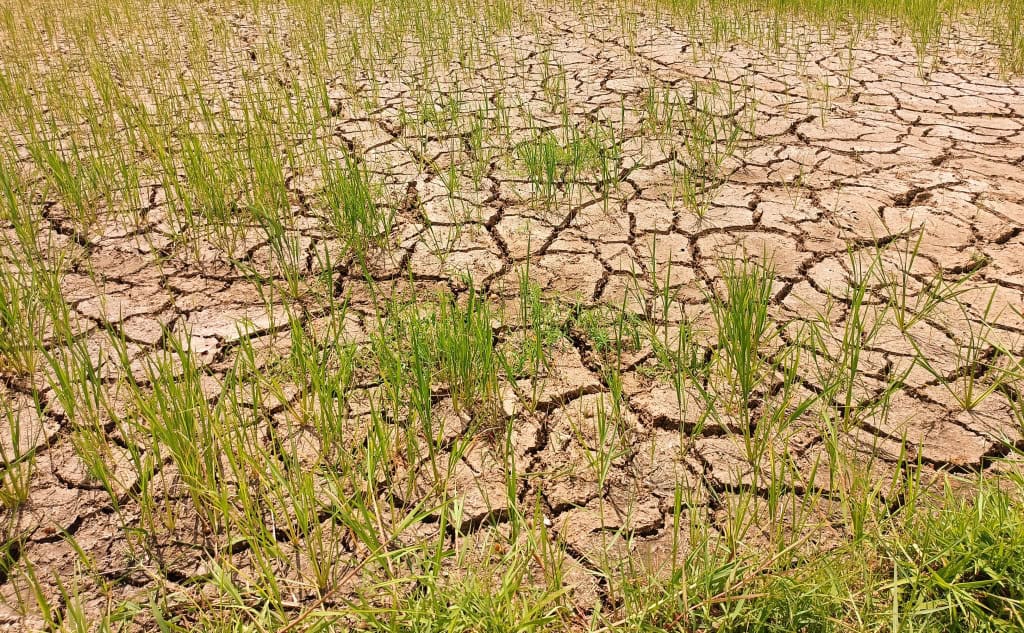 seca el niño